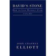 David's Stone - How to Live Without Fear: How to Live Without Fear : A Safety Bible by ELLIOTT JOHN C., 9781401060503