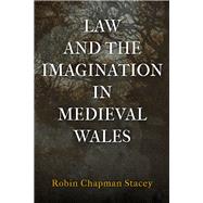 Law and the Imagination in Medieval Wales by Stacey, Robin Chapman, 9780812250510