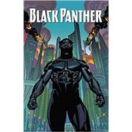 Black Panther: A Nation Under Our Feet Book 1 by Coates, Ta-Nehisi; Stelfreeze, Brian, 9781302900533
