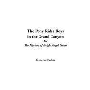 The Pony Rider Boys In The Grand Canyon Or The Mystery Of Bright Angel Gulch by Patchin, Frank Gee, 9781414240541