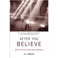 After You Believe: Why Christian Character Matters by Wright, N. T., 9780061730542