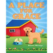 A Place for Grace by Delette Marengo, 9781665750547