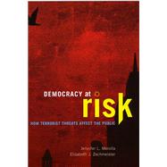 Democracy at Risk by Merolla, Jennifer L., 9780226520551