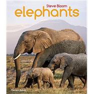 Elephants A Book for Children by Bloom, Steve, 9780500650554