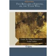 Two Boys and a Fortune by White, Matthew, 9781502960559
