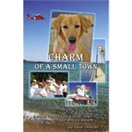Charm of a Small Town by Looman, Davie, 9780741460585