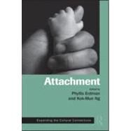 Attachment: Expanding the Cultural Connections by Erdman; Phyllis, 9780415990592