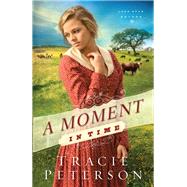 A Moment in Time by Peterson, Tracie, 9780764210594
