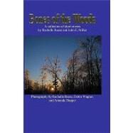 Bones of the Woods by Reese, Rachelle; Miller, John E., 9781419670596