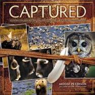 Captured Lessons from Behind the Lens of a Legendary Wildlife Photographer by Peterson, Moose, 9780321720597