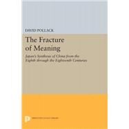 The Fracture of Meaning by Pollack, David, 9780691610603