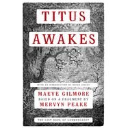 Titus Awakes The Lost Book of Gormenghast by Gilmore, Maeve; Peake, Mervyn; Sibley, Brian, 9781468300604
