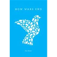 How Wars End by Reiter, Dan, 9780691140605