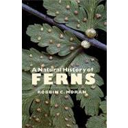 A Natural History of Ferns by Moran, Robbin C., 9781604690620