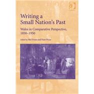 Writing a Small Nation's Past: Wales in Comparative Perspective, 18501950 by Pryce,Huw, 9781409450627