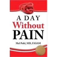 A Day Without Pain by Pohl, Mel, 9781936290628