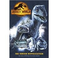 Jurassic World Dominion: The Junior Novelization  (Jurassic World Dominion) by Unknown, 9780593310649