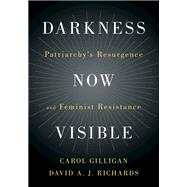 Darkness Now Visible by Gilligan, Carol; Richards, David A. J., 9781108470650