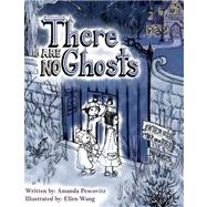 There Are No Ghosts by Pescovitz, Amanda Catherine; Wang, Ellen Wenyue, 9781475280654