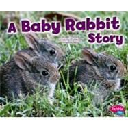 A Baby Rabbit Story by Wittrock, Jeni, 9781429660662