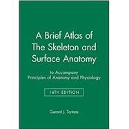 A Brief Atlas of the Skeleton and Surface Anatomy by Gerard J. Tortora, 9781118700679