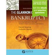Examples & Explanations for Bankruptcy and Debtor/Creditor by Brian A. Blum; Samir D. Parikh, 9798886140682