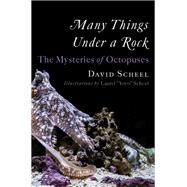 Many Things Under a Rock The Mysteries of Octopuses by Scheel, David; Scheel, Laurel 