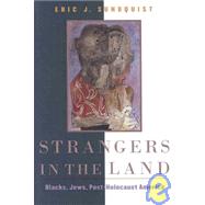 Strangers in the Land by Sundquist, Eric J., 9780674030695