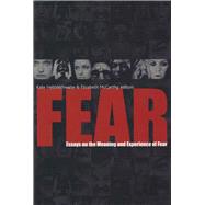 Fear Essays on the Meaning and Experience of Fear by Hebblethwaite, Kate; McCarthy, Elizabeth, 9781846820700