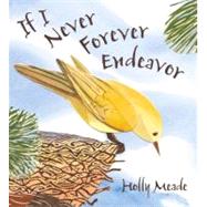 If I Never Forever Endeavor by Meade, Holly; Meade, Holly, 9780763640712