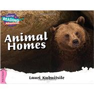 Animal Homes by Kubuitsile, Lauri, 9781316600719