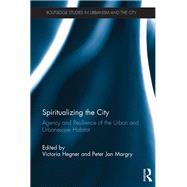 Spiritualizing the City: Agency and Resilience of the Urban and Urbanesque Habitat by Hegner; Victoria, 9781138930728