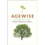 Agewise by Gullette, Margaret Morganroth, 9780226310732