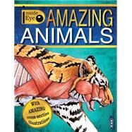 Amazing Animals by Channing, Margot, 9781906370732