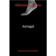 Astragal by Sarrazin, Albertine; Southgate, Patsy; Smith, Patti, 9780811220736