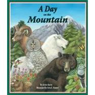 A Day on the Mountain by Kurtz, Kevin, 9781607180739