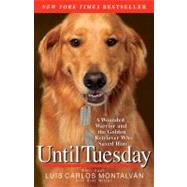 Until Tuesday by Montalvan, Luis Carlos; Witter, Bret, 9781401310752