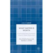 What Water is Worth Overlooked Non-Economic Value in Water Resources by Russo, Kira Artemis; Smith, Zachary A., 9780230340763