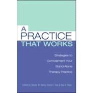 A Practice that Works: Strategies to Complement Your Stand Alone Therapy Practice by Harris; Steven M., 9780415950763