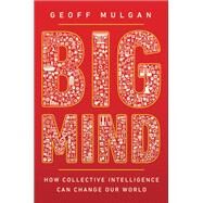 Big Mind by Mulgan, Geoff, 9780691170794