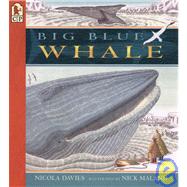 Big Blue Whale Read and Wonder by Davies, Nicola; Maland, Nick, 9780763610807