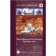 Natural Stone and World Heritage: Delhi-Agra, India by Gurmeet Kaur; Sakoon N. Singh; Anuvinder Ahuja; Noor Dasmesh Singh, 9781032570808