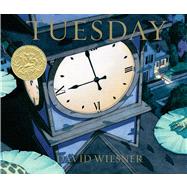 Tuesday by Wiesner, David, 9780395870822