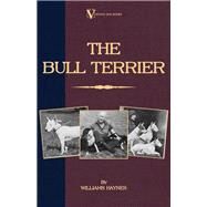 The Bull Terrier by Haynes, Williams, 9781846640827