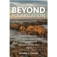 Beyond Polarization by Yaffee, Steven Lewis, 9781642830828