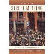 Street Meeting by Wild, H. Mark, 9780520240834