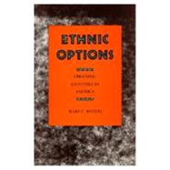 Ethnic Options by Waters, Mary C., 9780520070837
