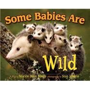 Some Babies Are Wild by Bauer,  Marion Dane, 9781591930846