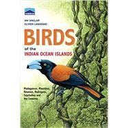 Birds of the Indian Ocean Islands by Sinclair, Ian; Langrand, Olivier; Arlott, Norman; Burn, Hilary; Hayman, Peter, 9781431700851