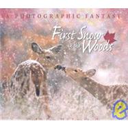First Snow in the Woods by Stoick, Jean, 9780977010868